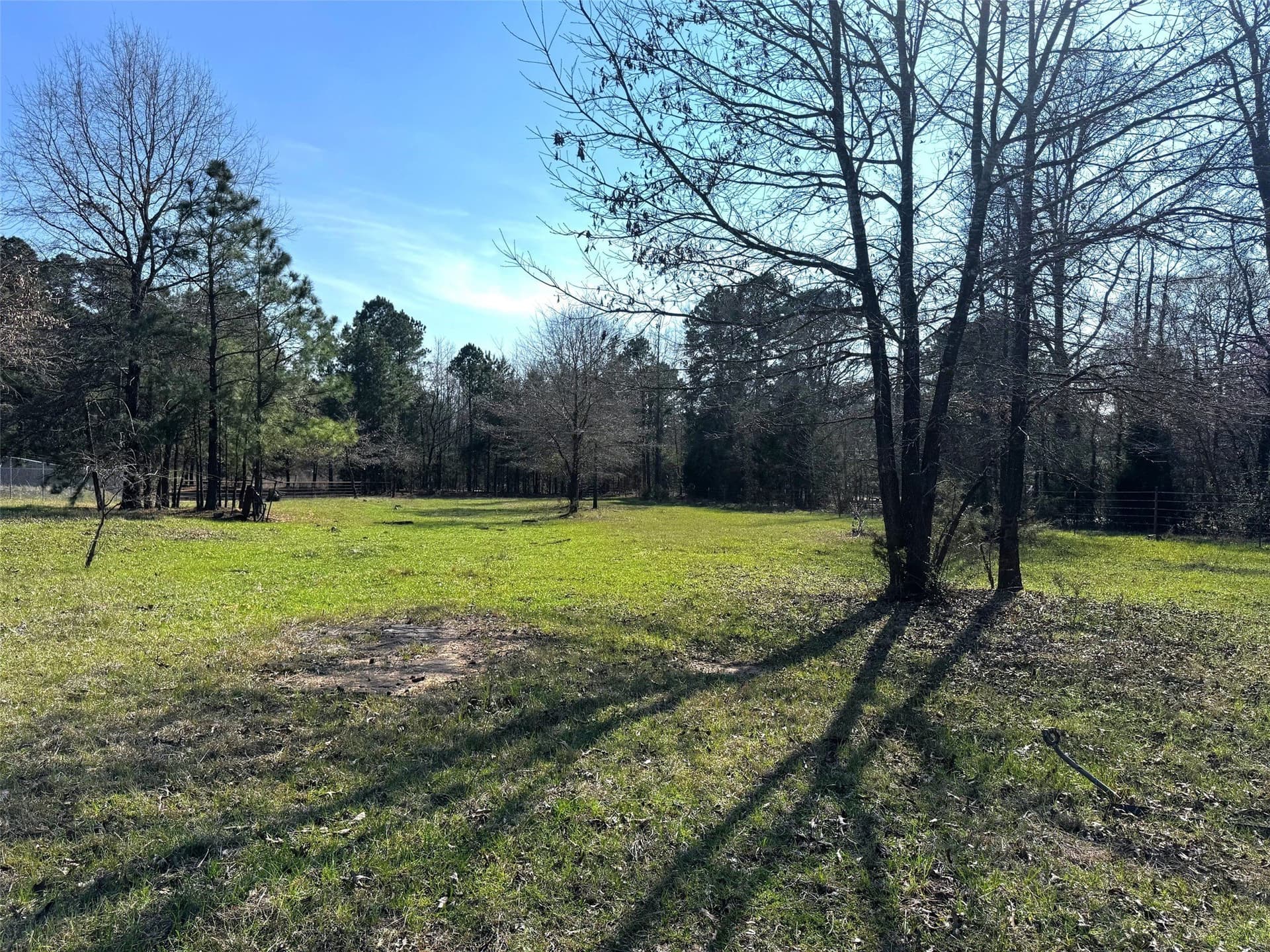 10.89 acres in Camp County - photo 14