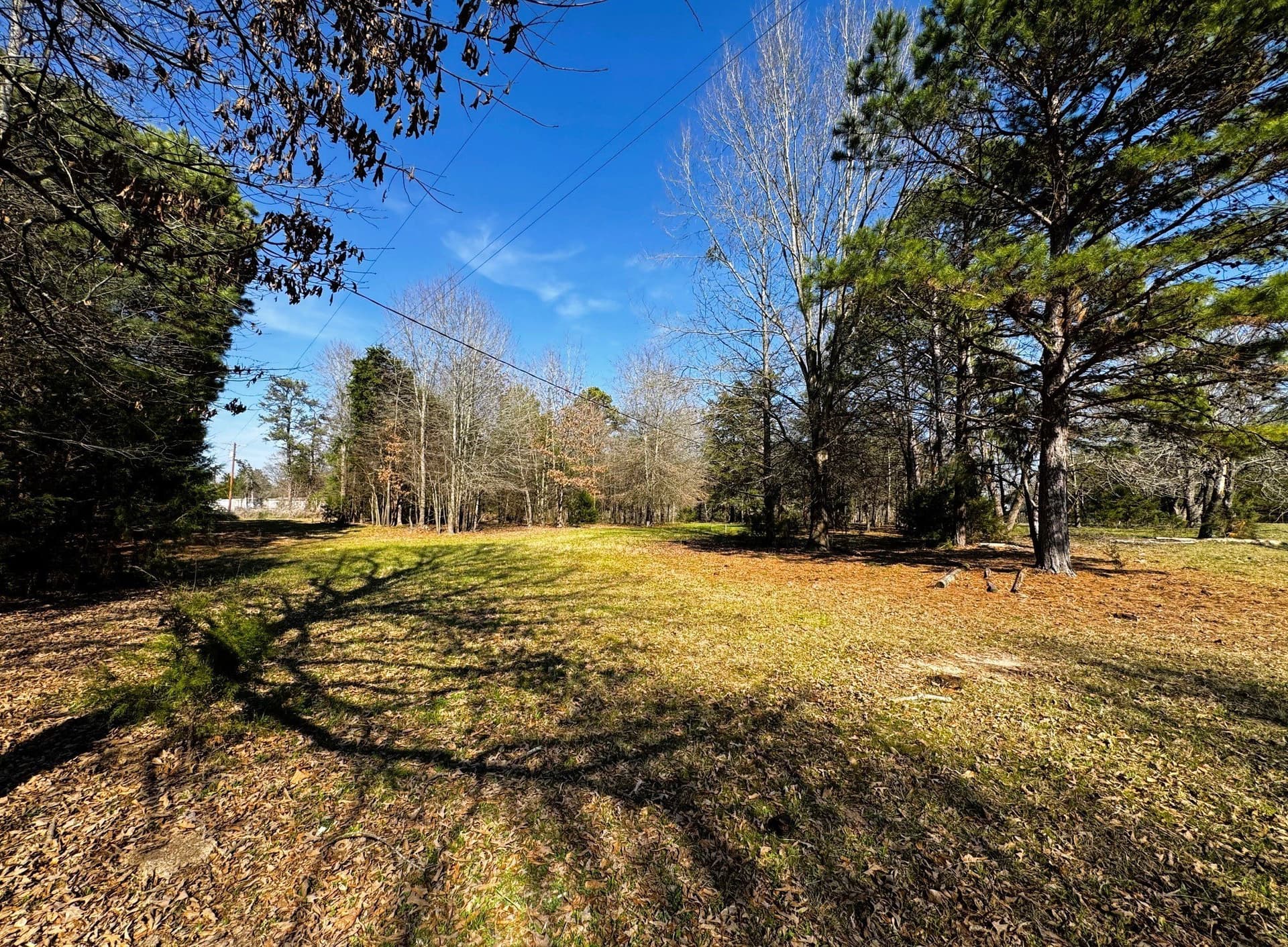 10.89 acres in Camp County - photo 25
