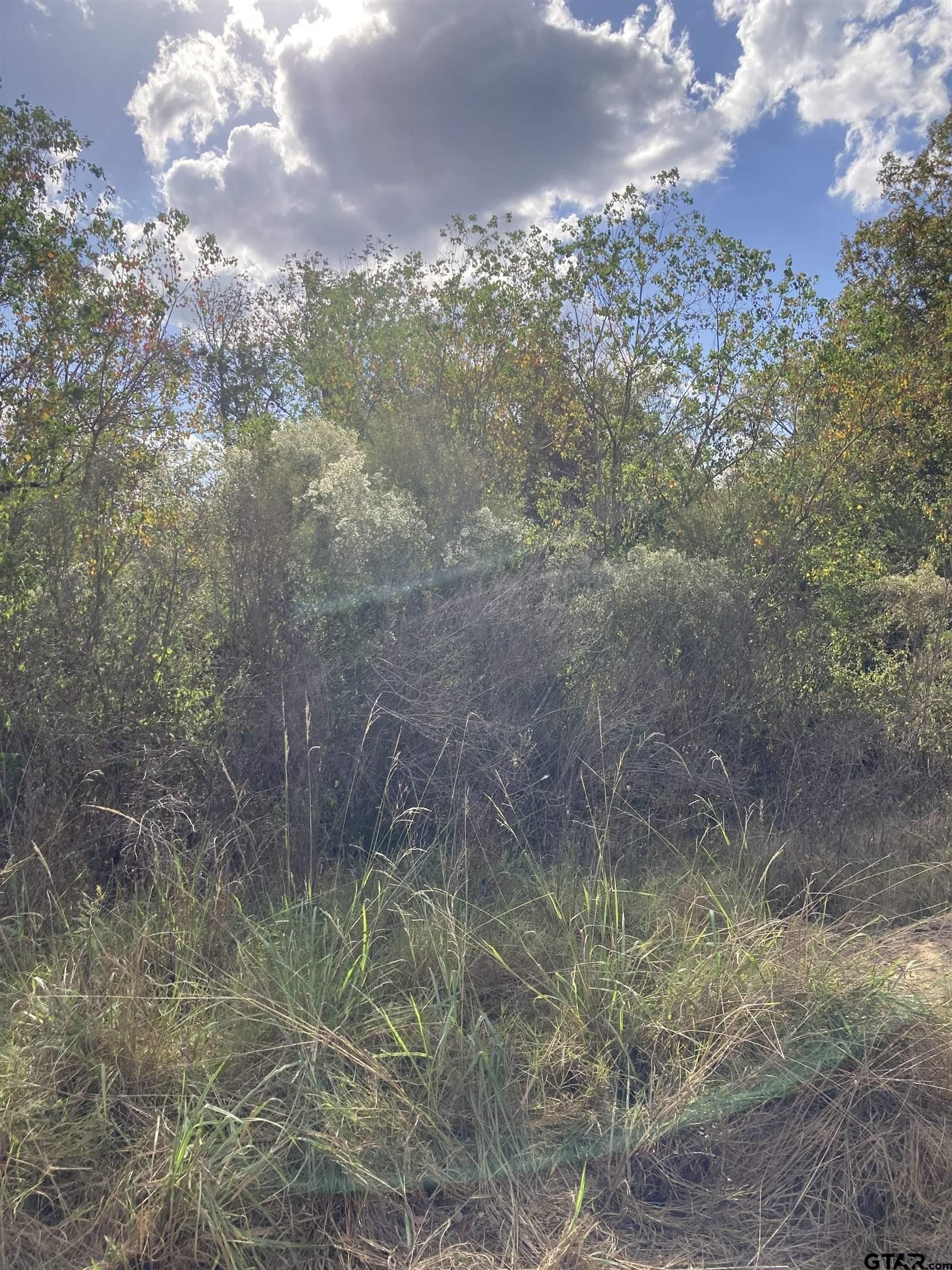 1.7 acres in Angelina County gallery image 2