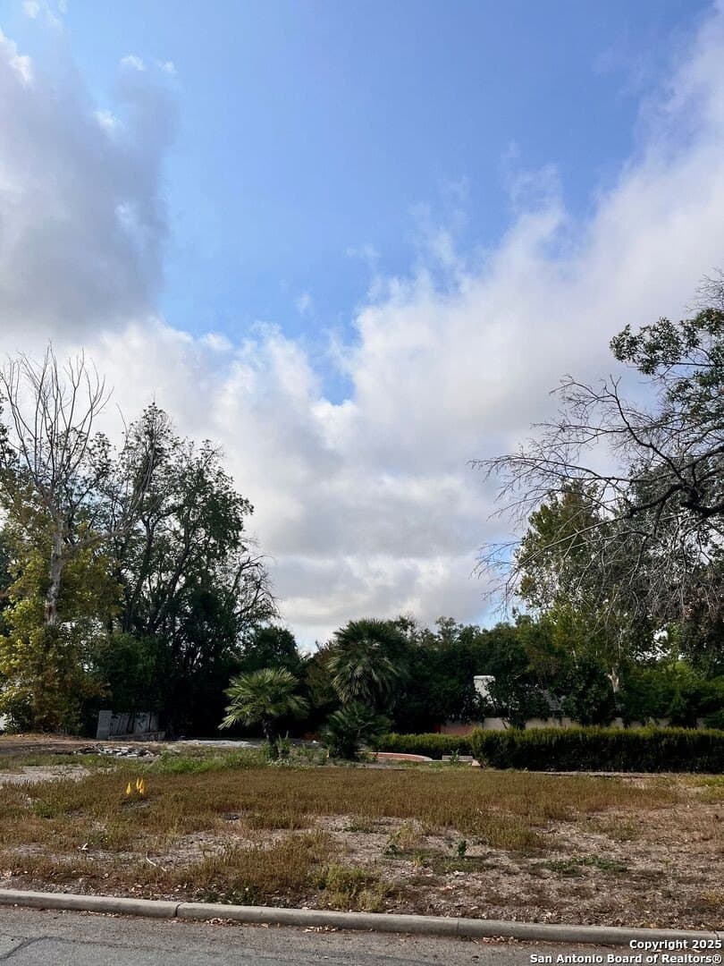 0.59 acres in Bexar County gallery image 3