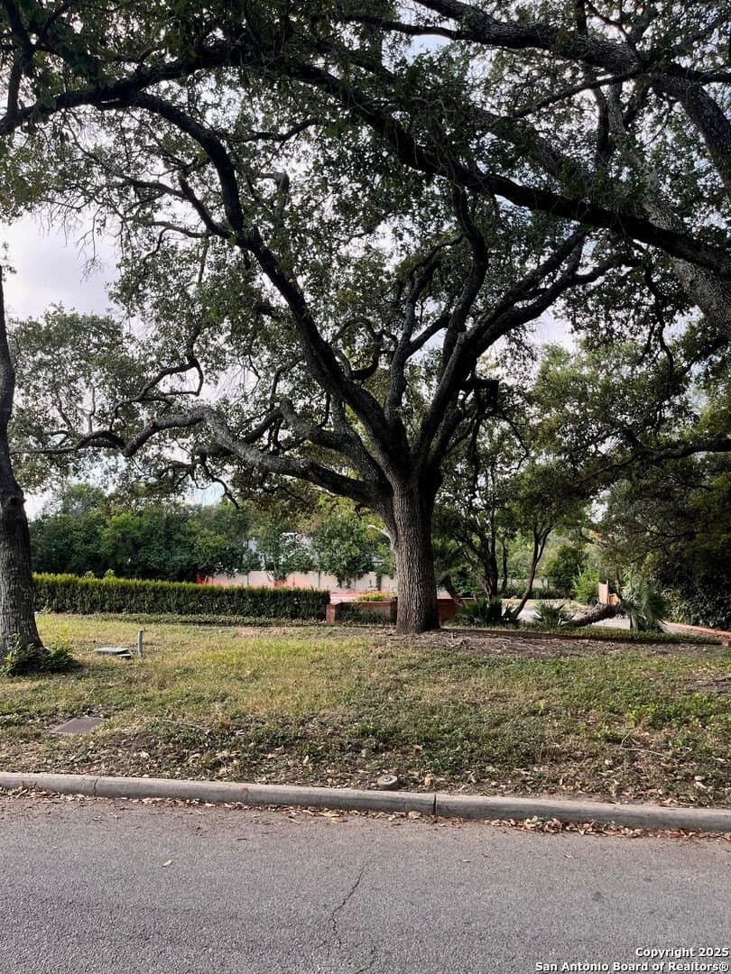 0.59 acres in Bexar County gallery image 2