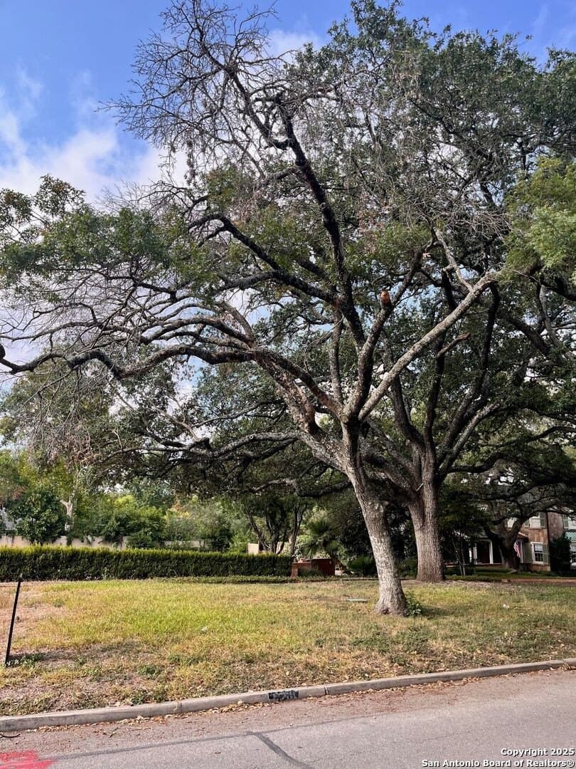 0.59 acres in Bexar County gallery image 4