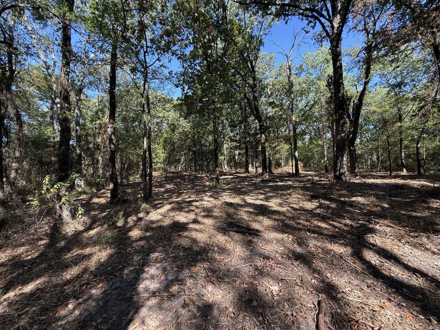 1.51 acres in Hunt County