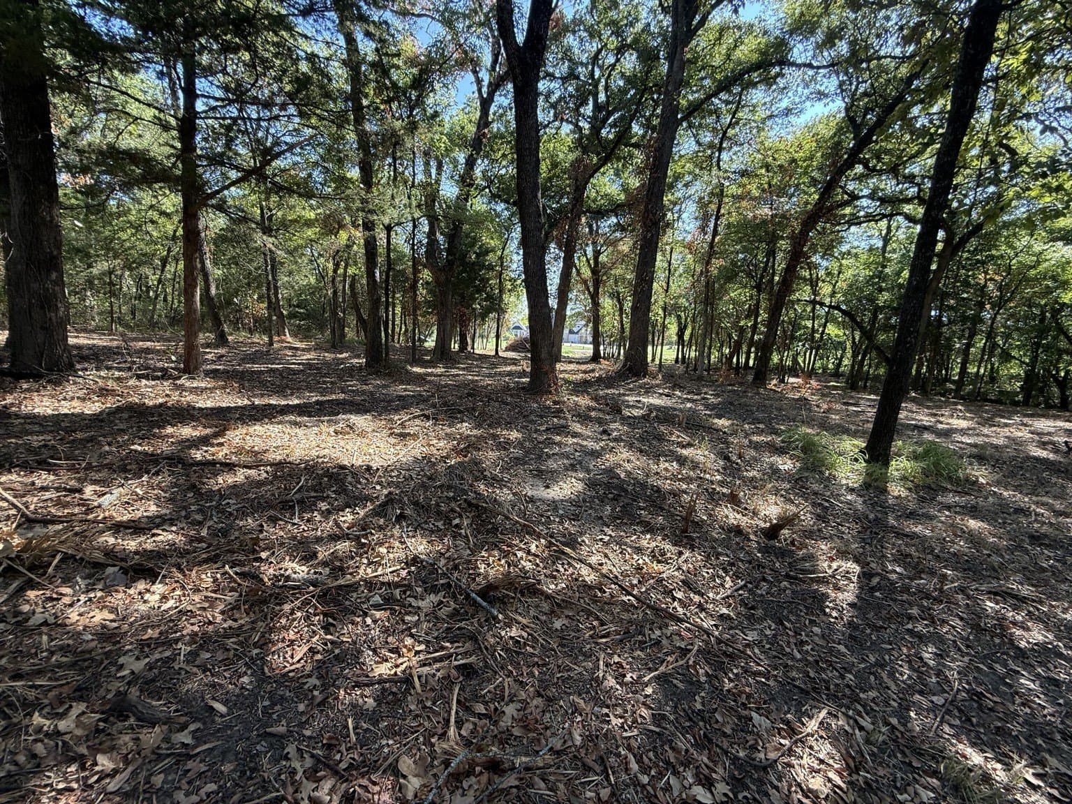 1.51 acres in Hunt County - photo 5