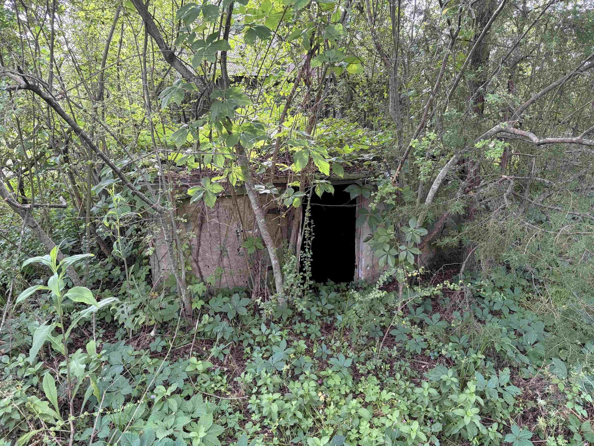 0.16 acres in Cass County - photo 7