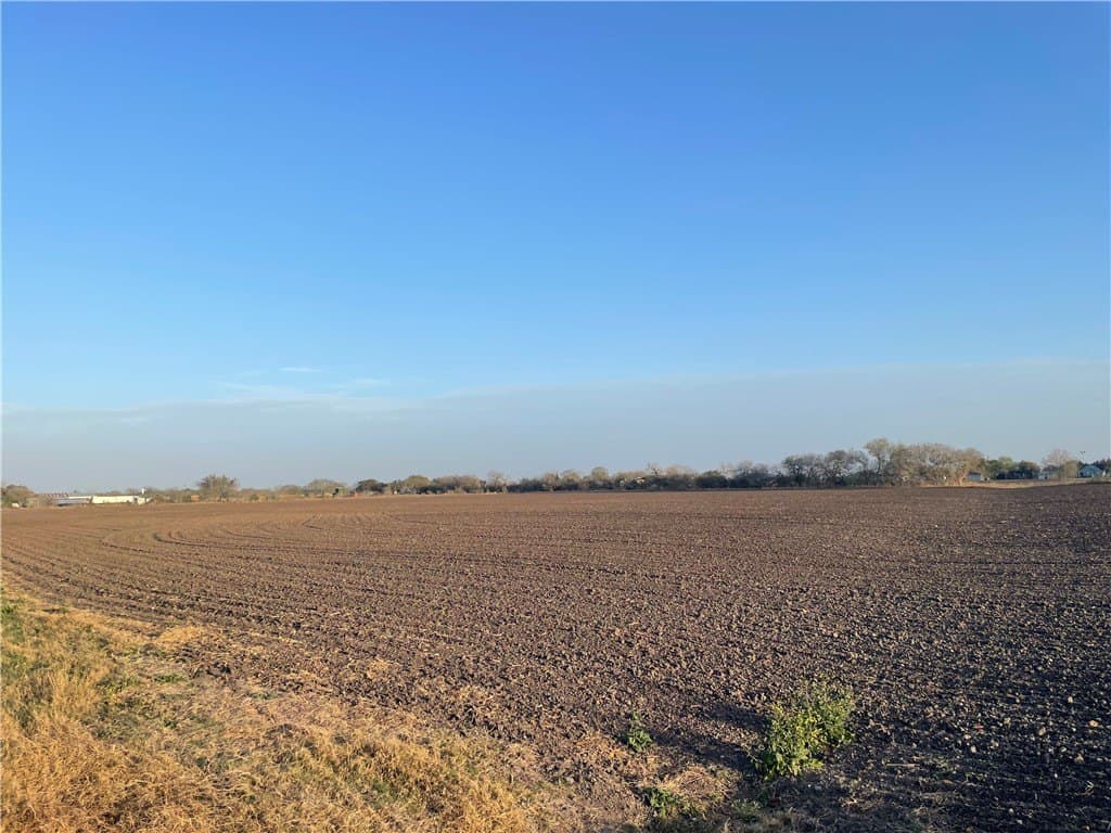 2.5 acres in San Patricio County gallery image 2