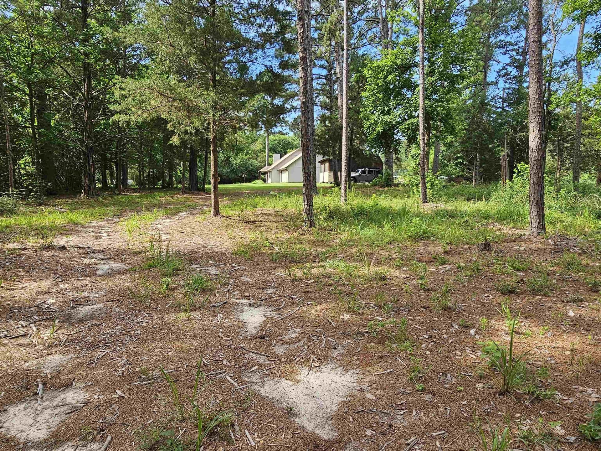 0.39 acres in Wood County - photo 20