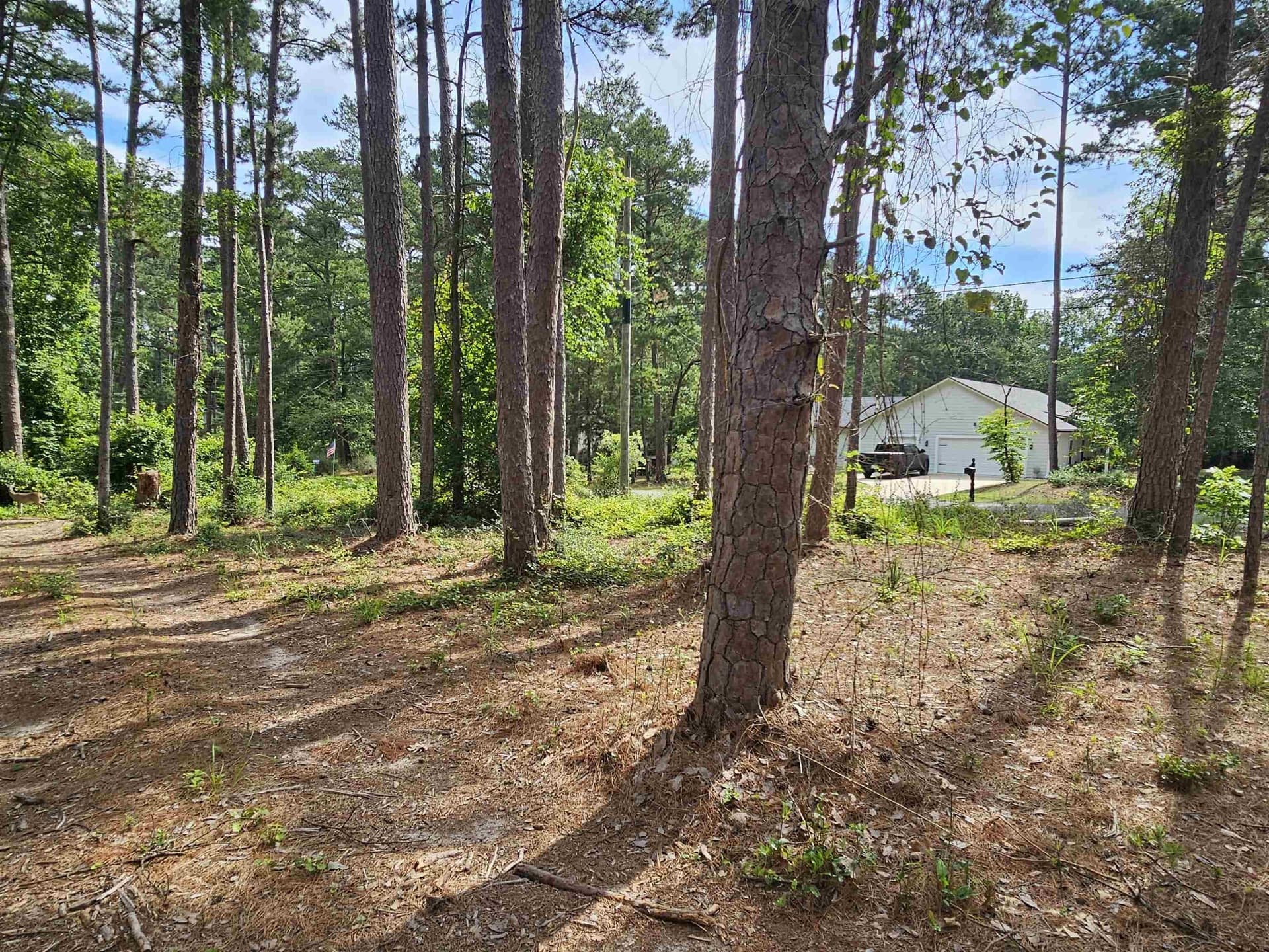 0.39 acres in Wood County - photo 22