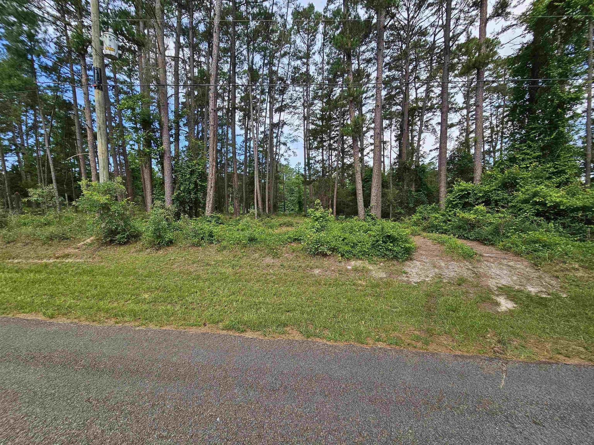 0.39 acres in Wood County - photo 24
