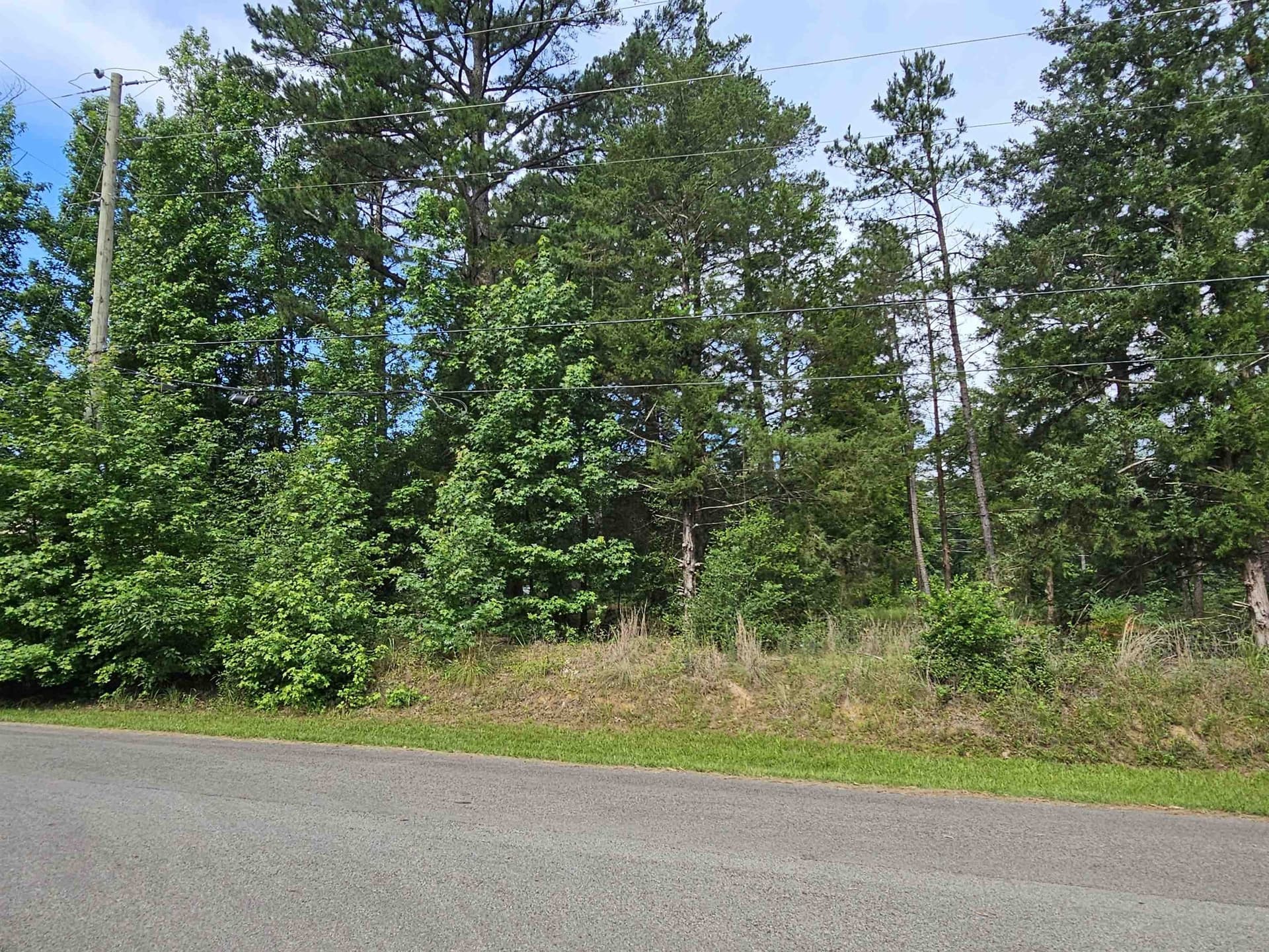 0.39 acres in Wood County - photo 27