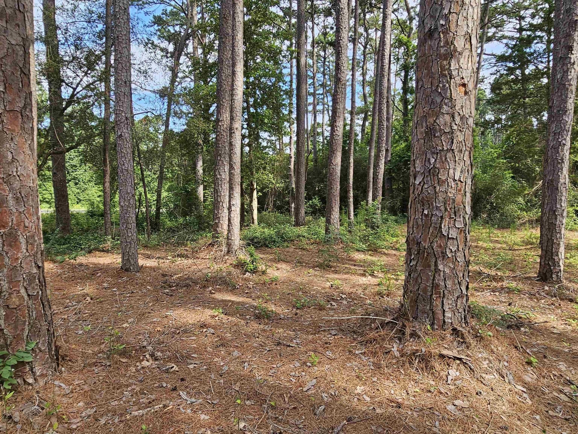 0.39 acres in Wood County - photo 23