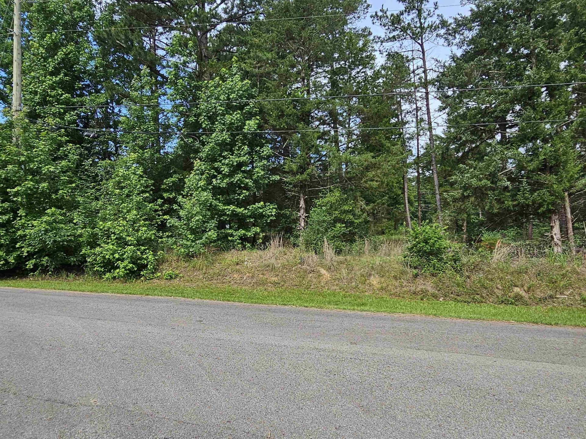 0.39 acres in Wood County - photo 26