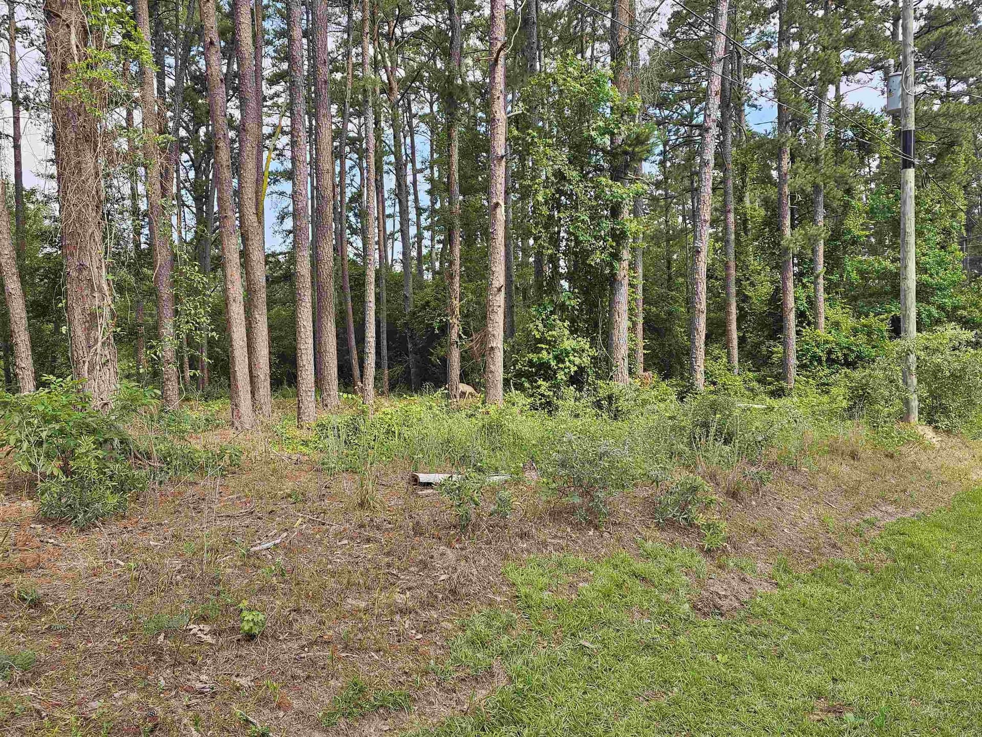 0.39 acres in Wood County - photo 16