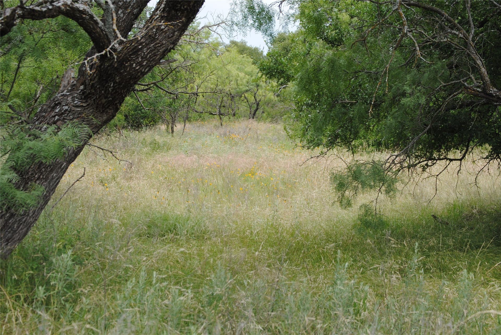 99.37 acres in Comanche County