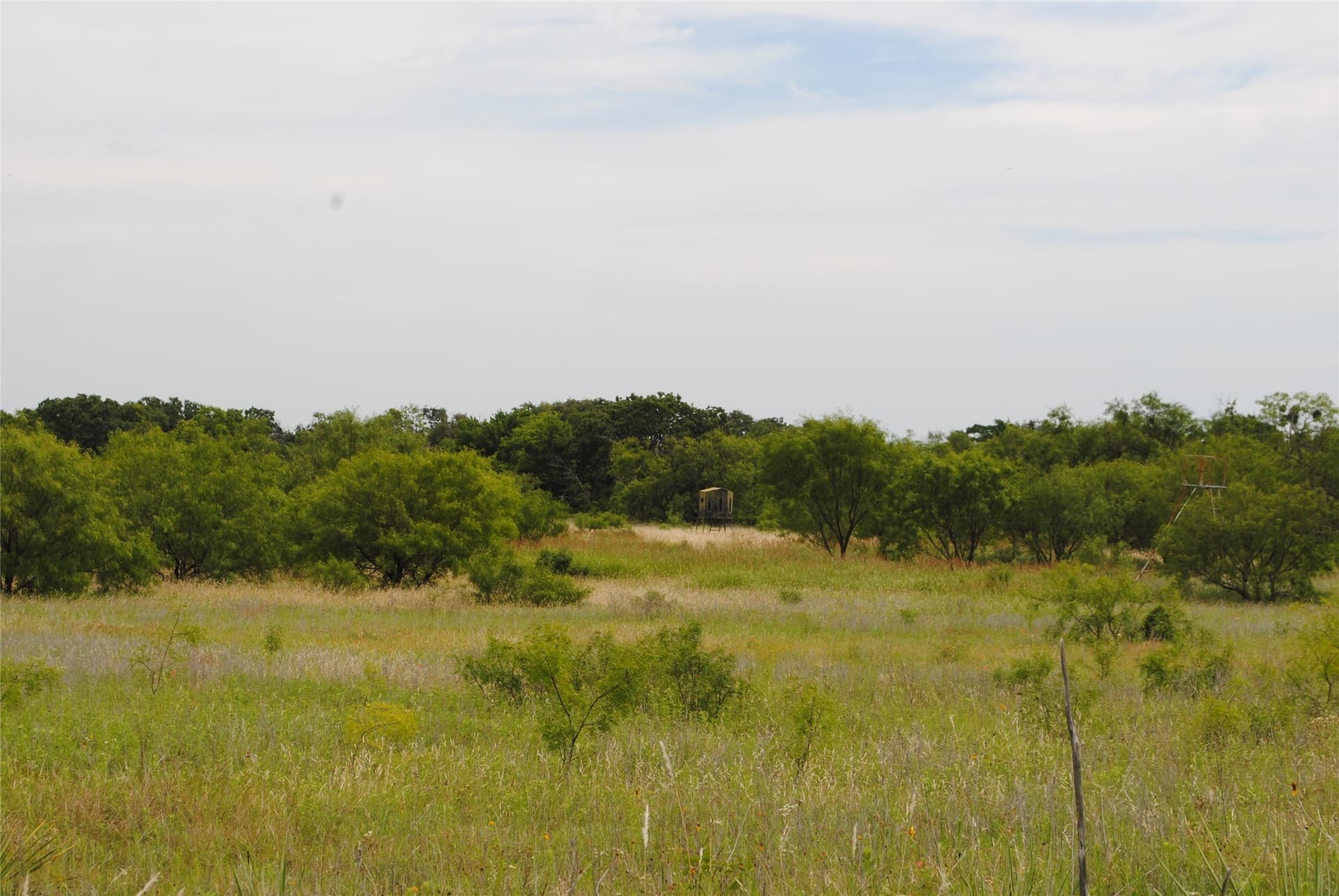 99.37 acres in Comanche County - photo 8