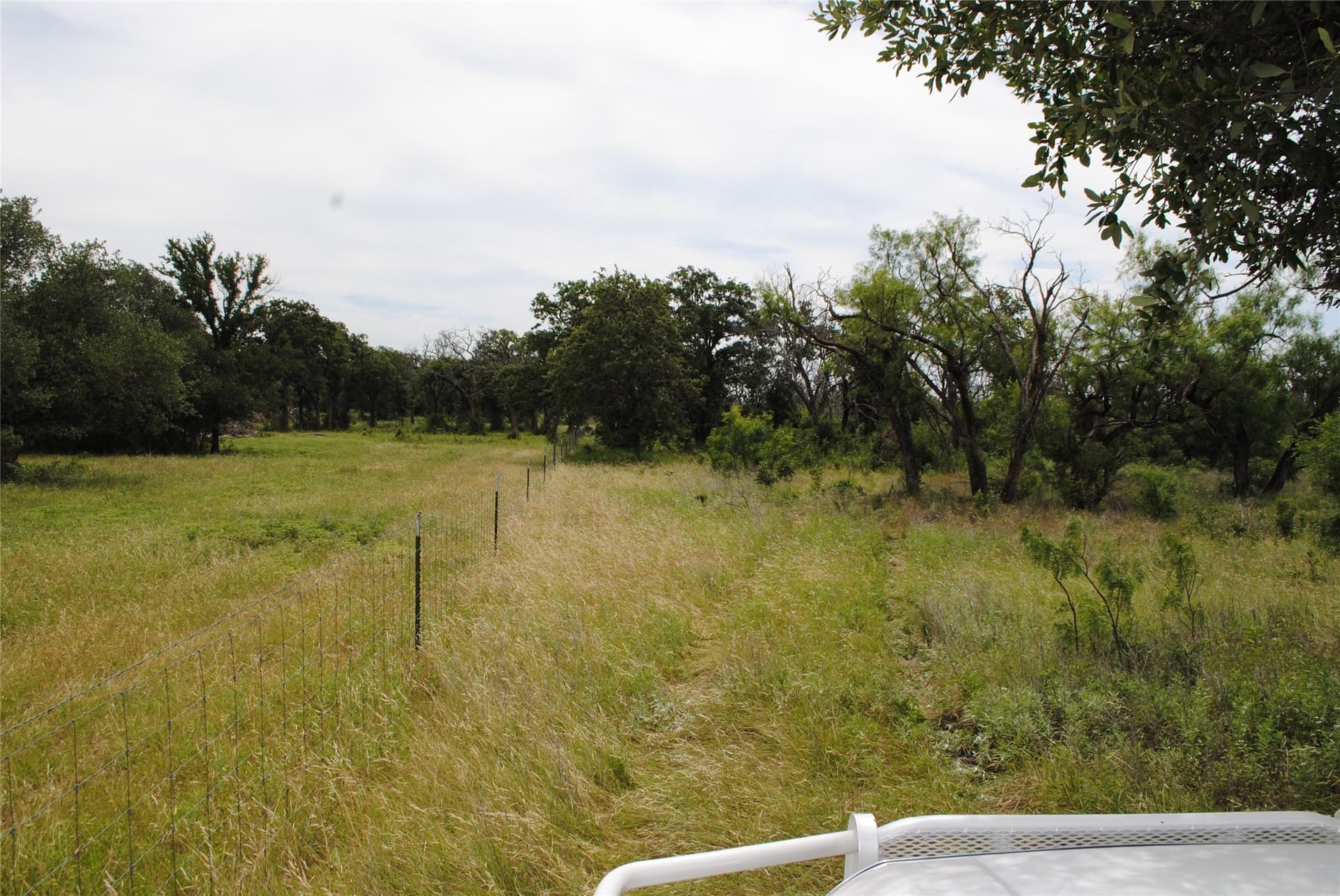 99.37 acres in Comanche County - photo 9