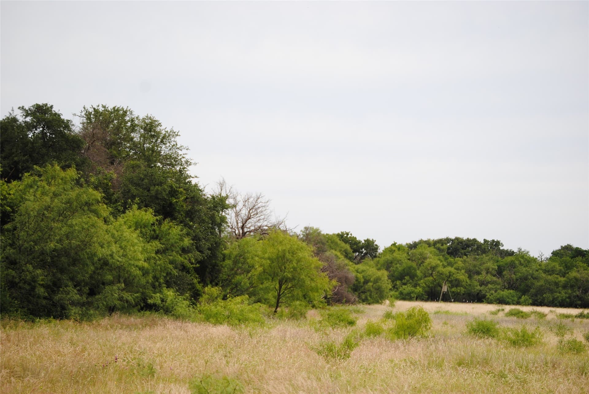 99.37 acres in Comanche County featured view