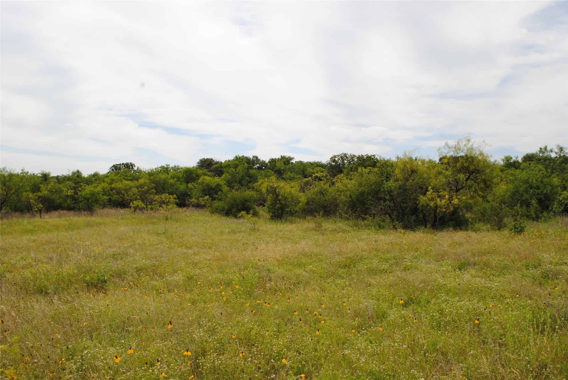 99.37 acres in Comanche County - photo 15