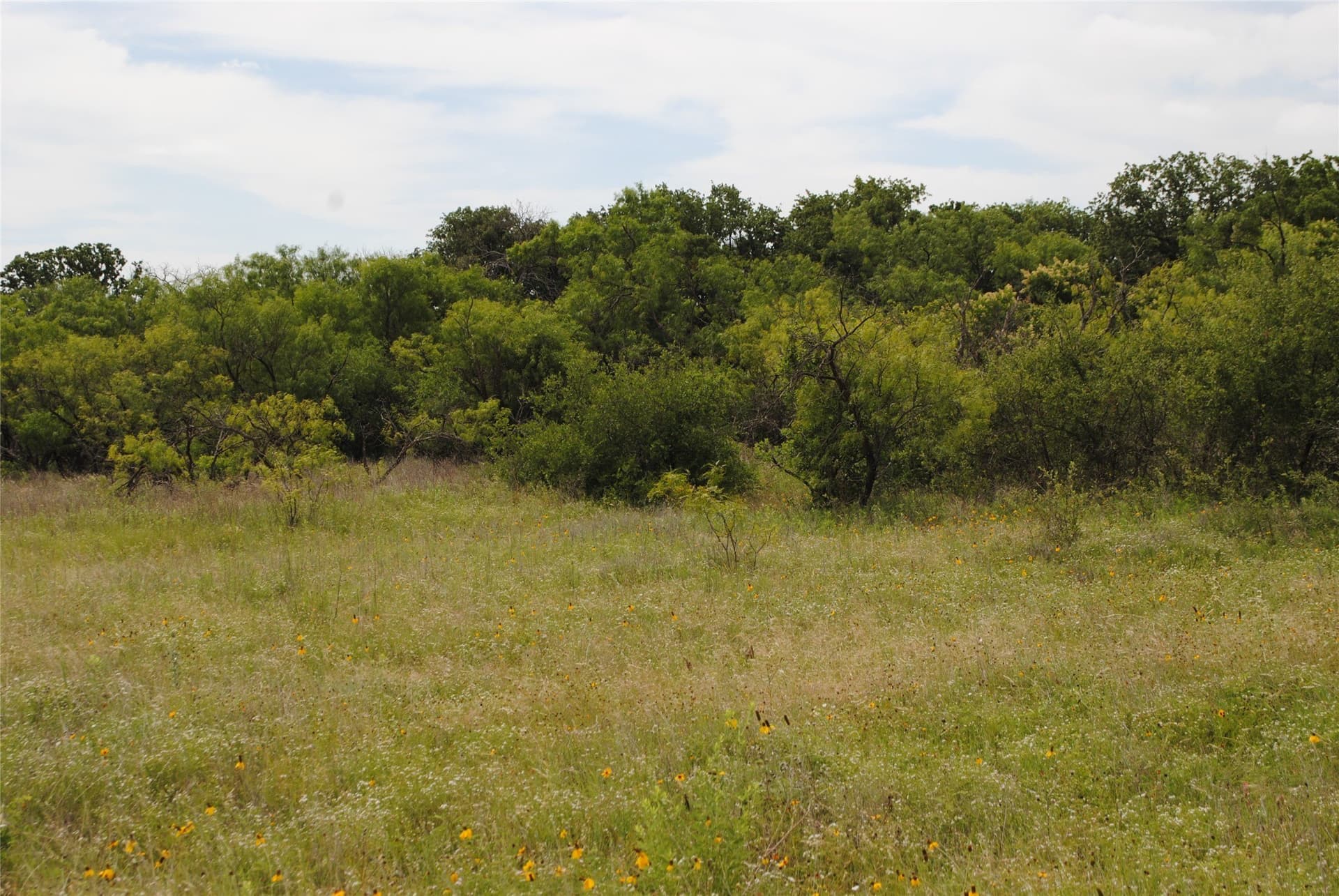 99.37 acres in Comanche County - photo 14