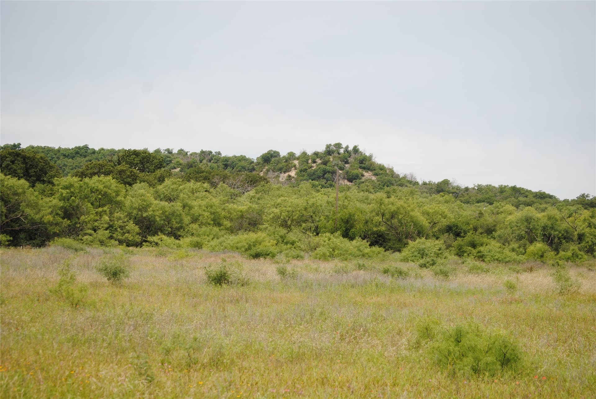 99.37 acres in Comanche County - photo 6