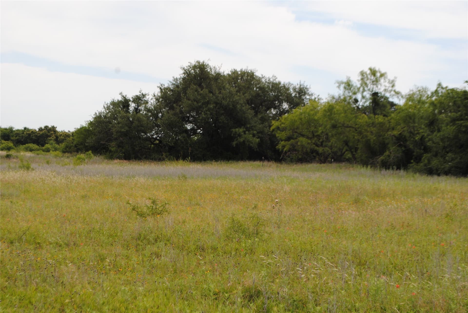 99.37 acres in Comanche County - photo 11