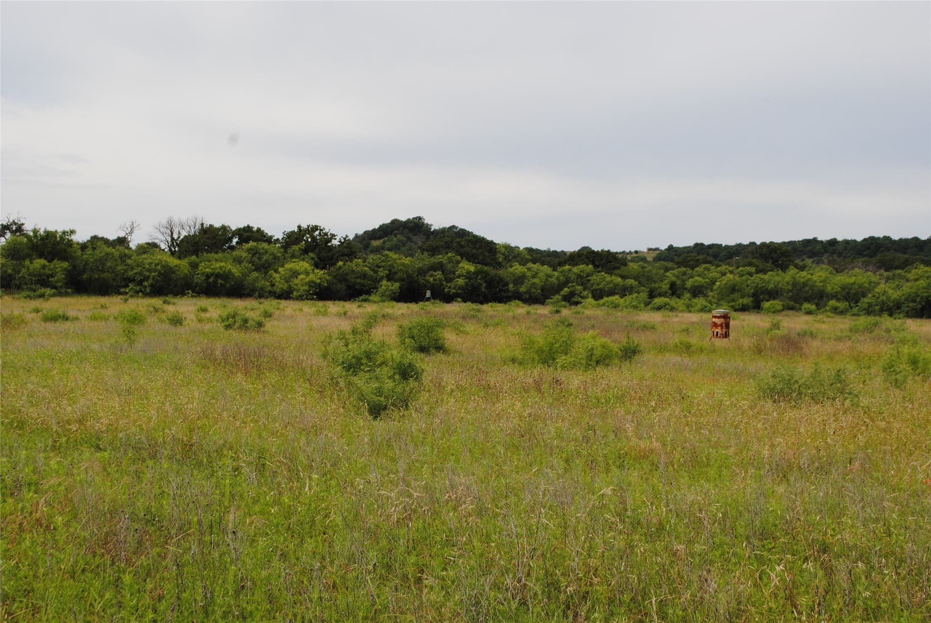 99.37 acres in Comanche County gallery image 4