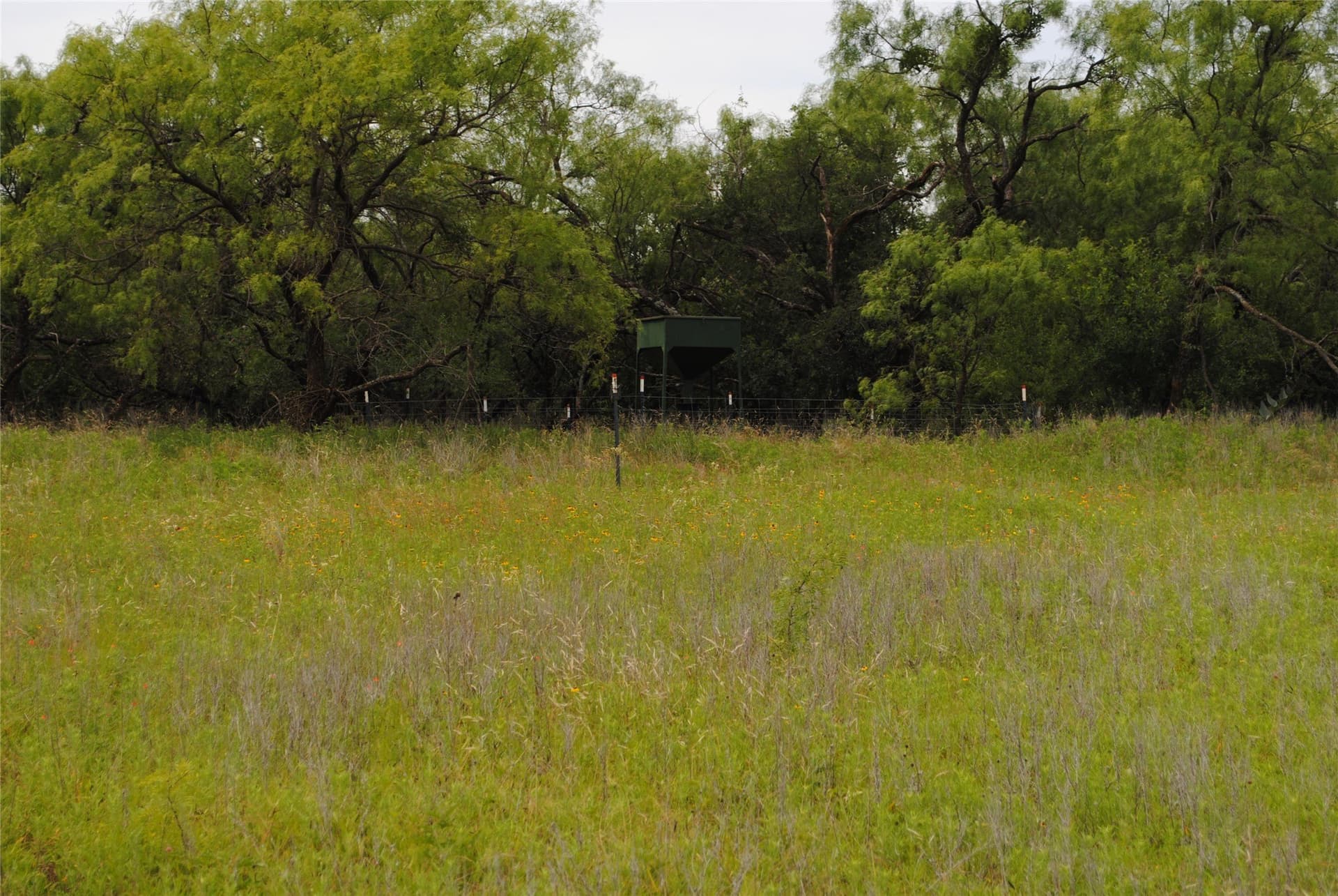 99.37 acres in Comanche County - photo 10