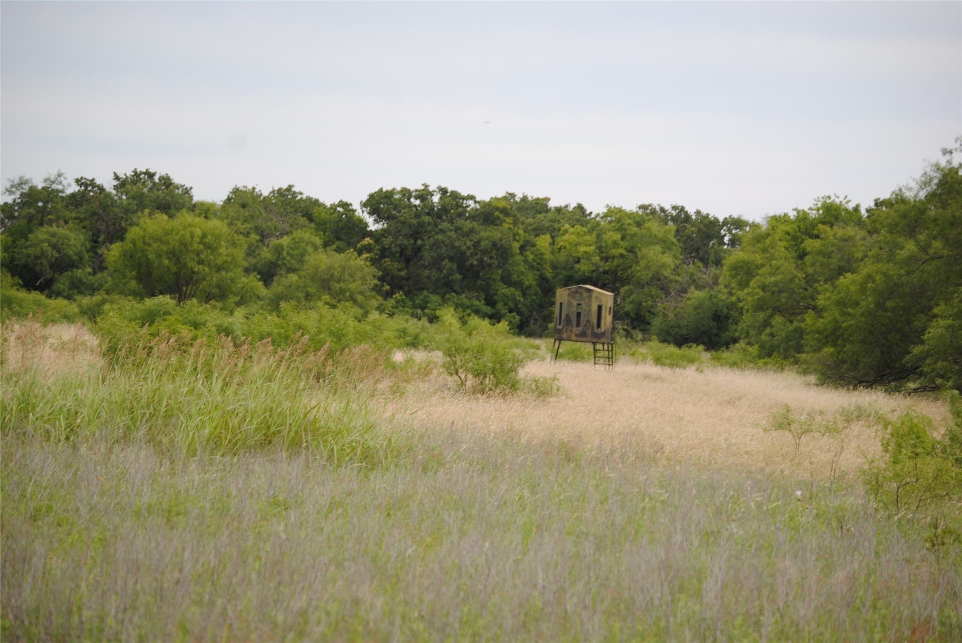 99.37 acres in Comanche County - photo 7