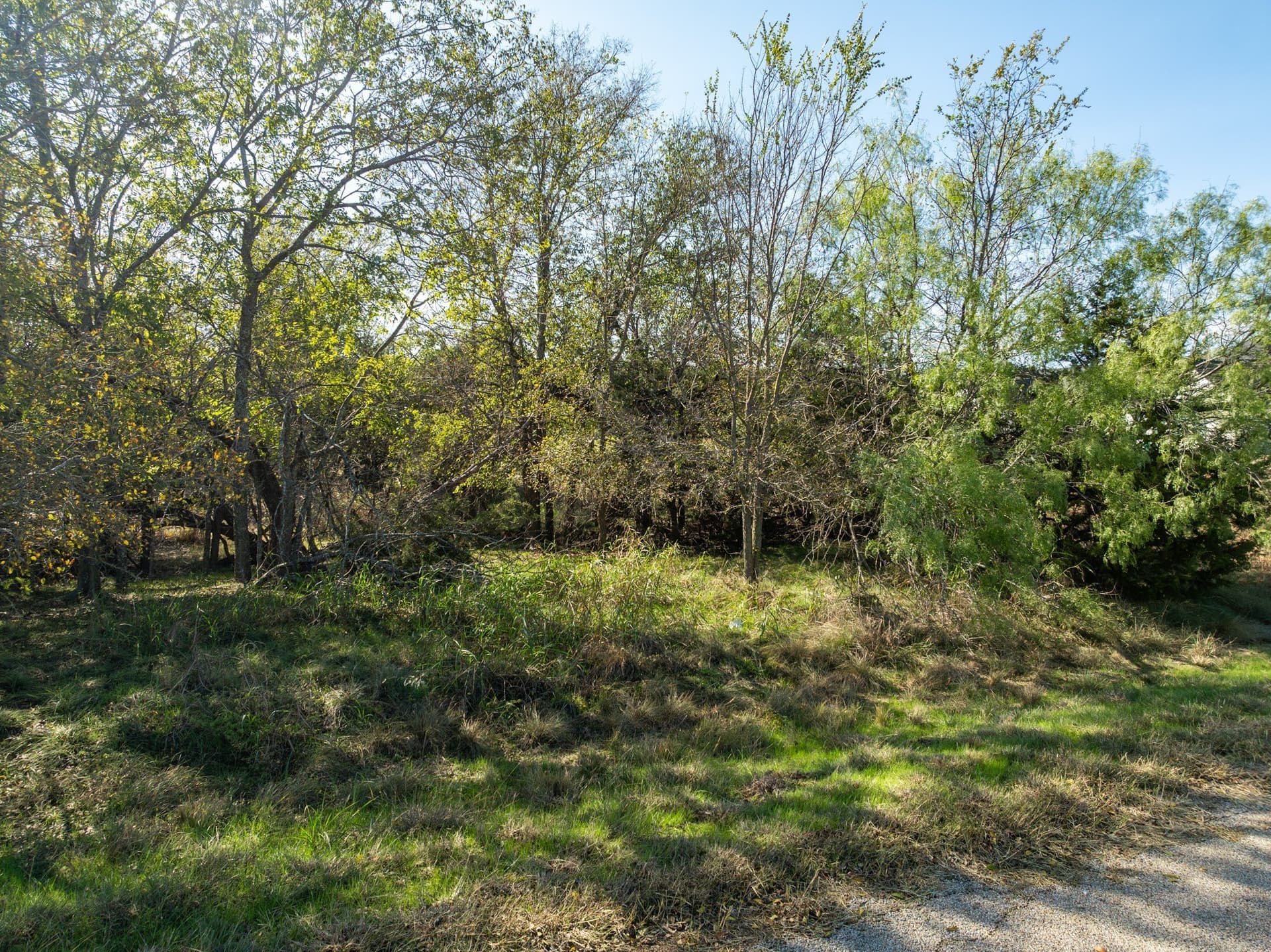 0.25 acres in Hill County - photo 3