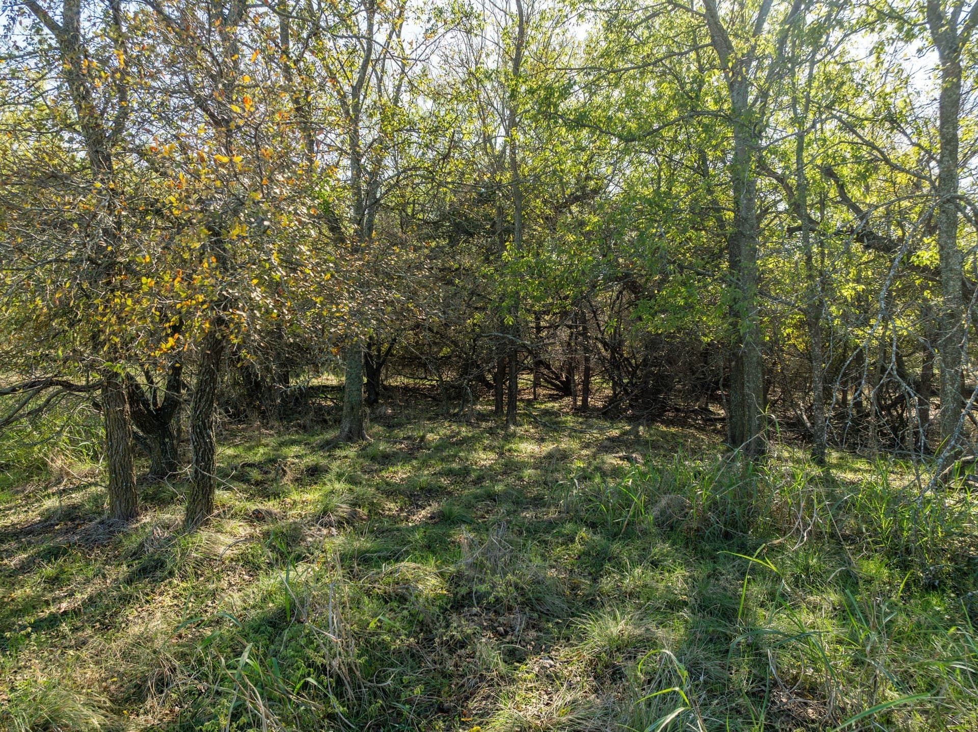 0.25 acres in Hill County - photo 4