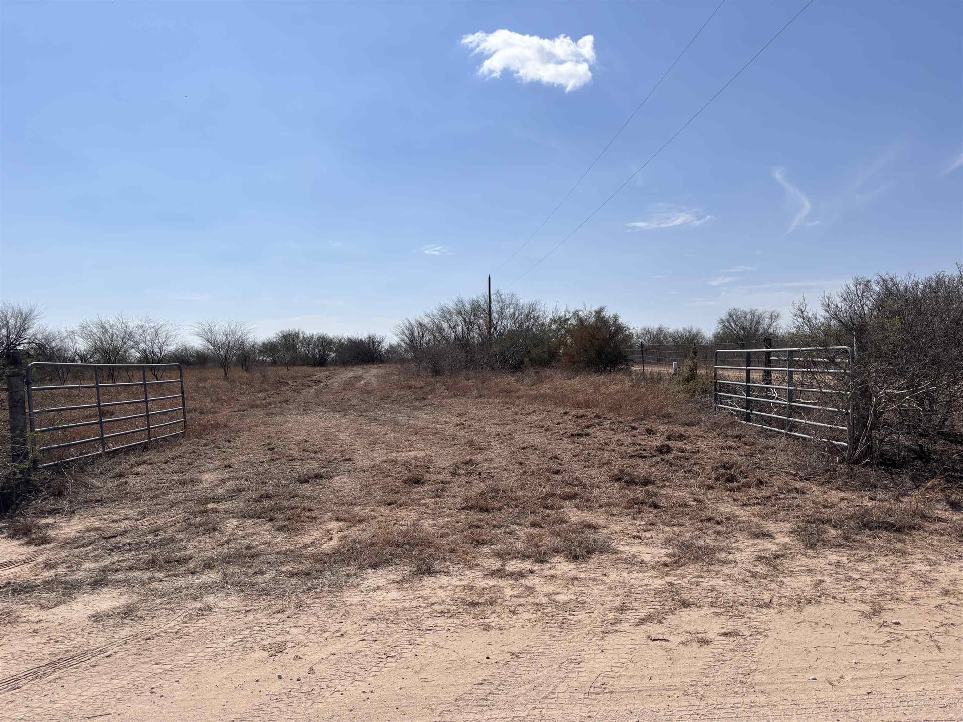 25 acres in Jim Wells County