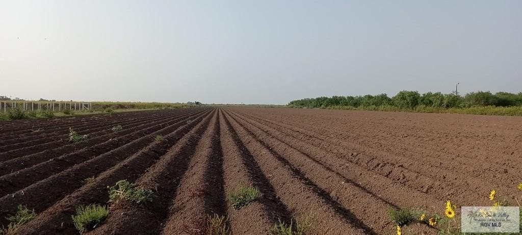 10 acres in HIDALGO County gallery image 2