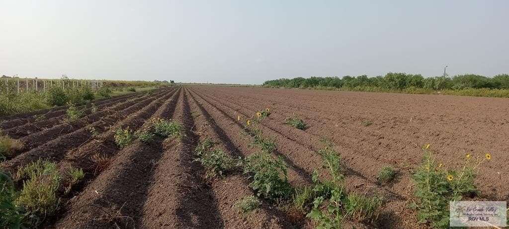 10 acres in HIDALGO County