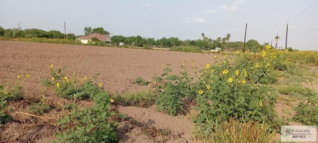 10 acres in HIDALGO County gallery image 3