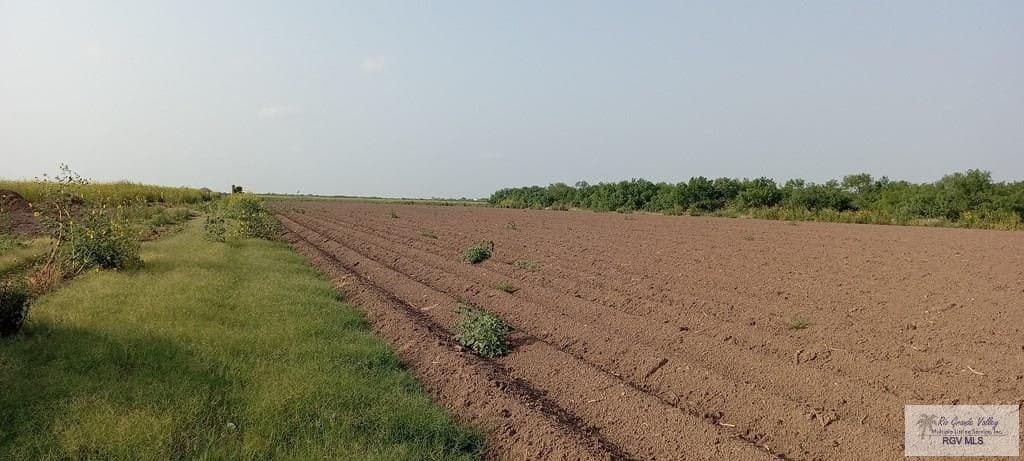 10 acres in HIDALGO County featured view