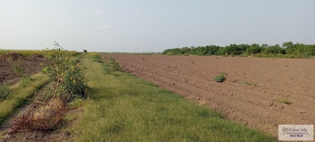 10 acres in HIDALGO County - photo 11