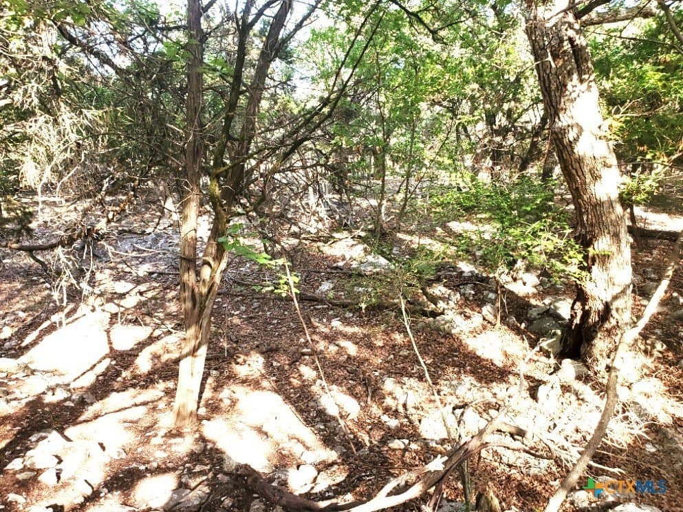 0.63 acres in Bell County - photo 21