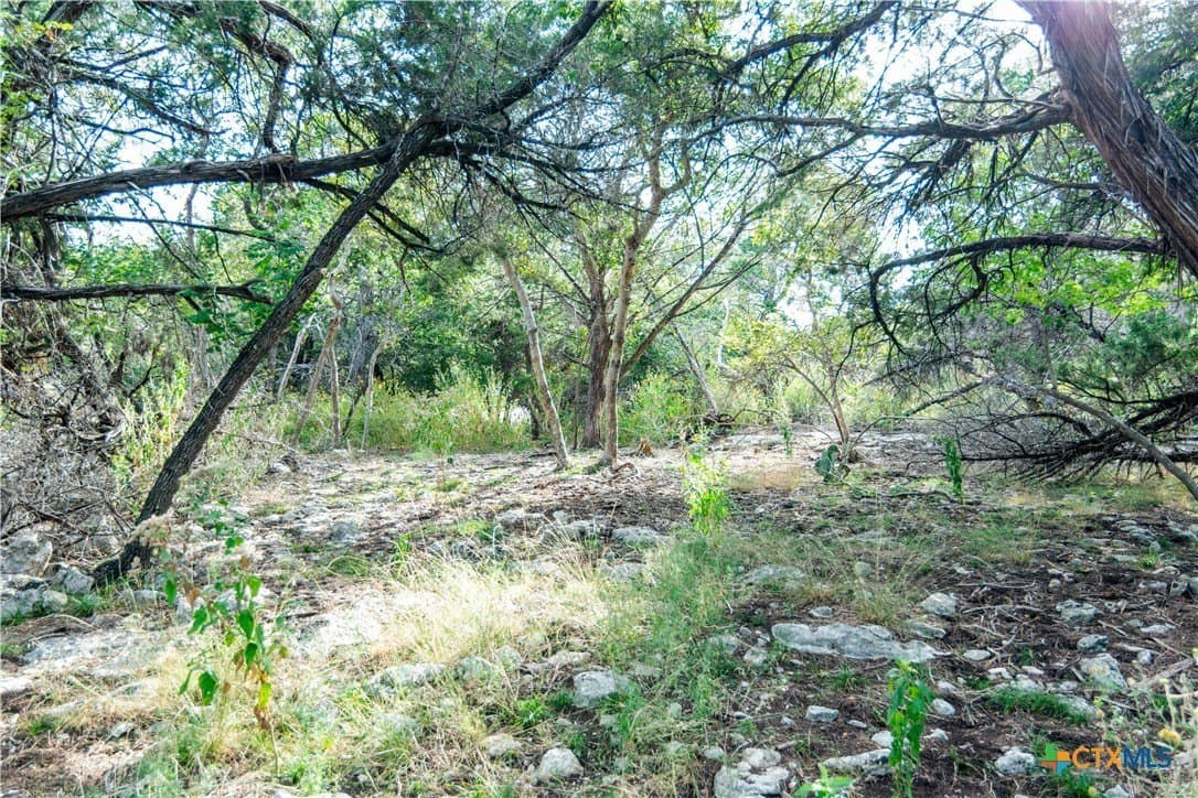 0.63 acres in Bell County - photo 5
