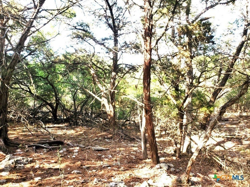 0.63 acres in Bell County - photo 15