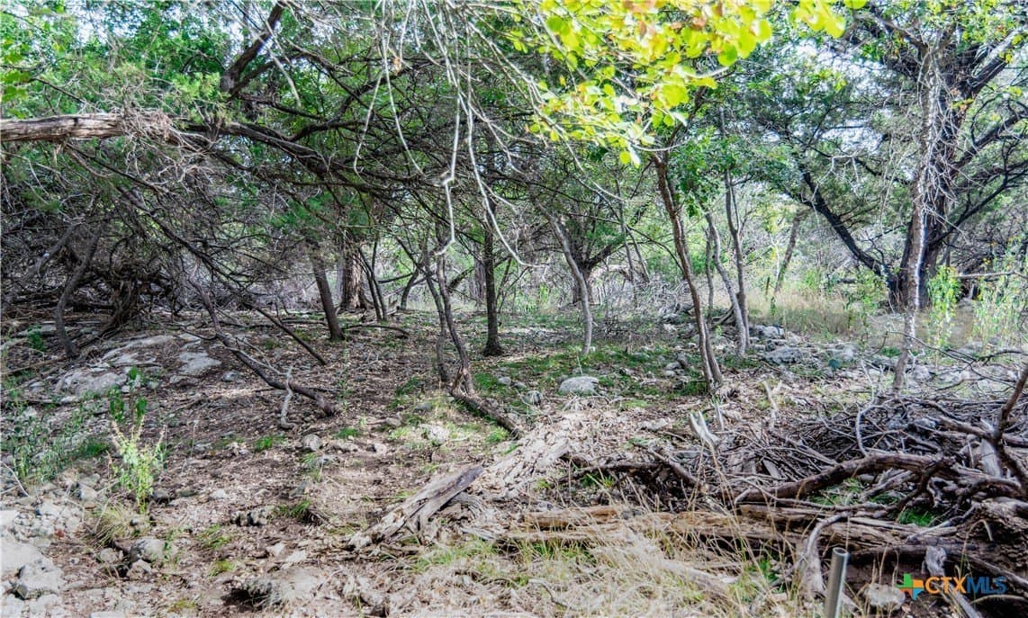 0.63 acres in Bell County - photo 3