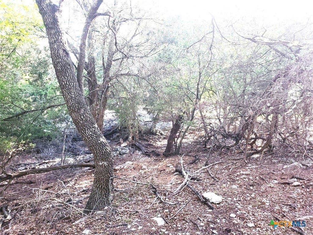 0.63 acres in Bell County - photo 20
