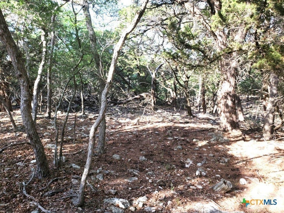 0.63 acres in Bell County - photo 18