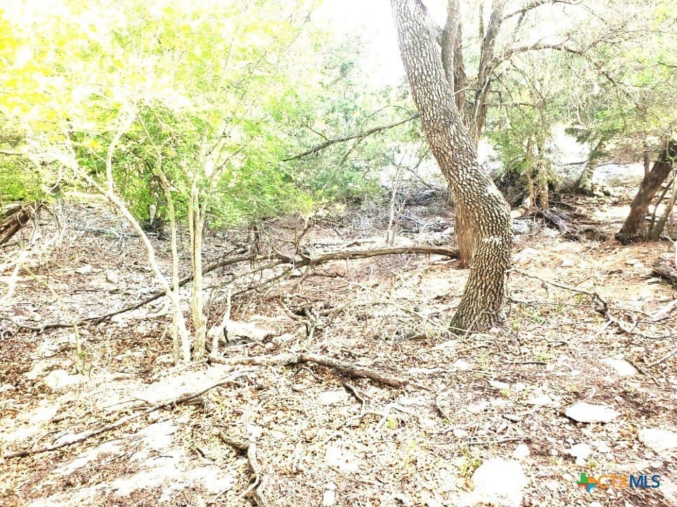 0.63 acres in Bell County - photo 19