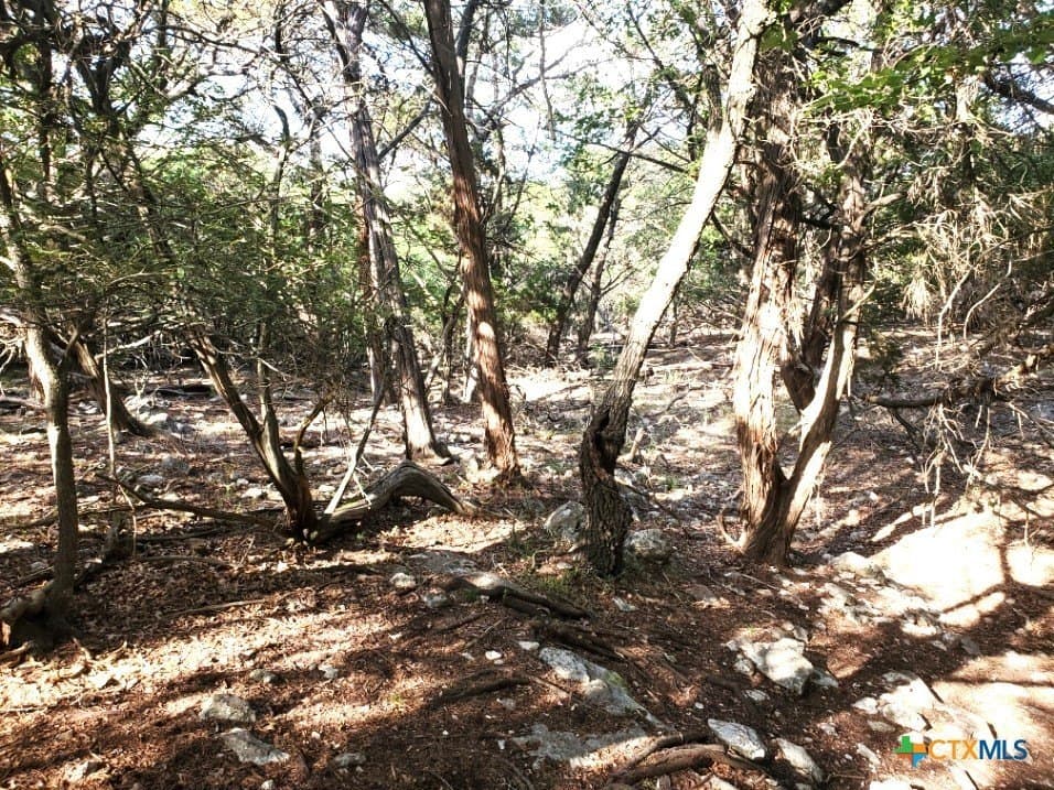 0.63 acres in Bell County - photo 17