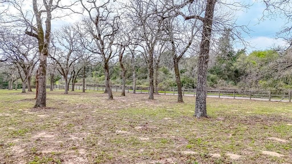 12.92 acres in Freestone County gallery image 4