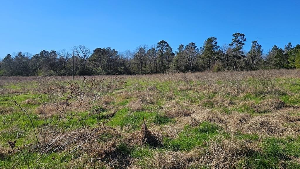 16.39 acres in Texas County