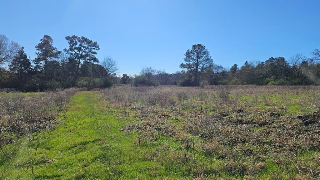 16.39 acres in Texas County gallery image 2