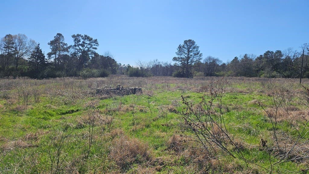 16.39 acres in Texas County gallery image 3