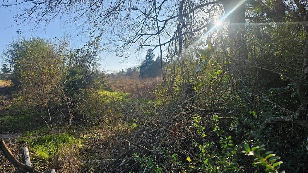 16.39 acres in Texas County featured view