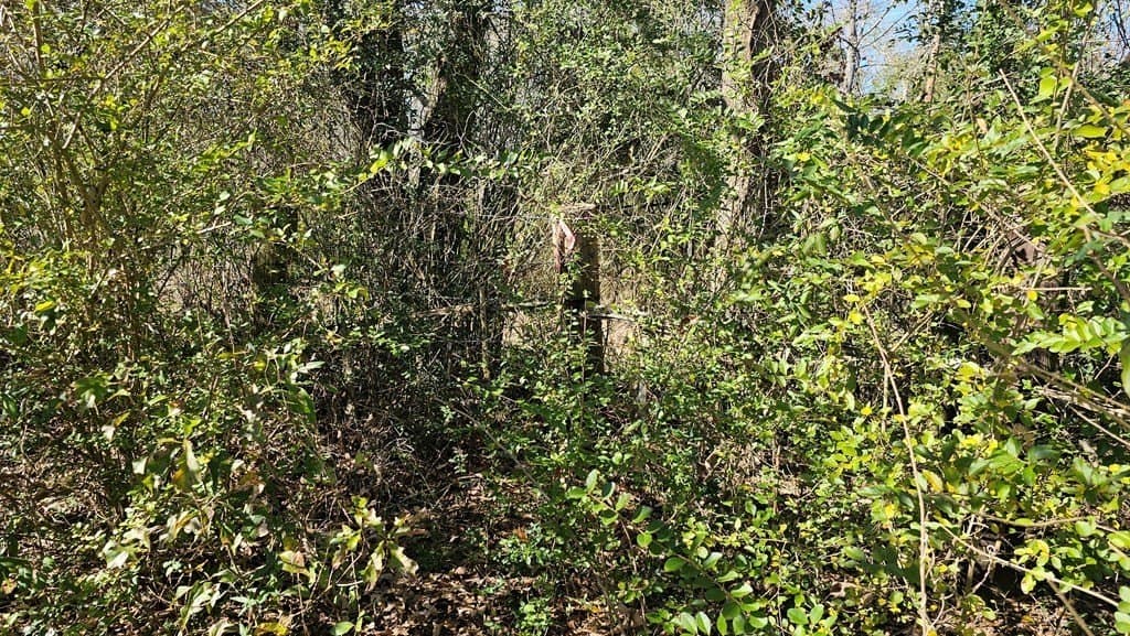 16.39 acres in Texas County gallery image 4